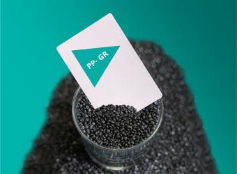 PPGR