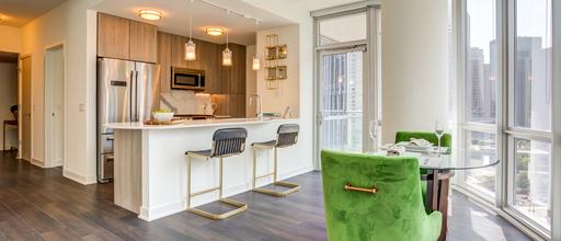 465 North Park condo living room